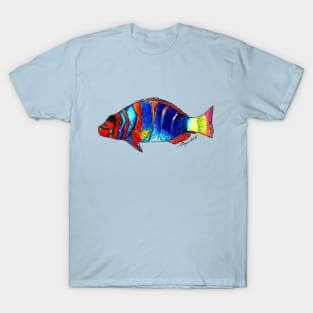 "Harlequin Tuskfish" T-Shirt